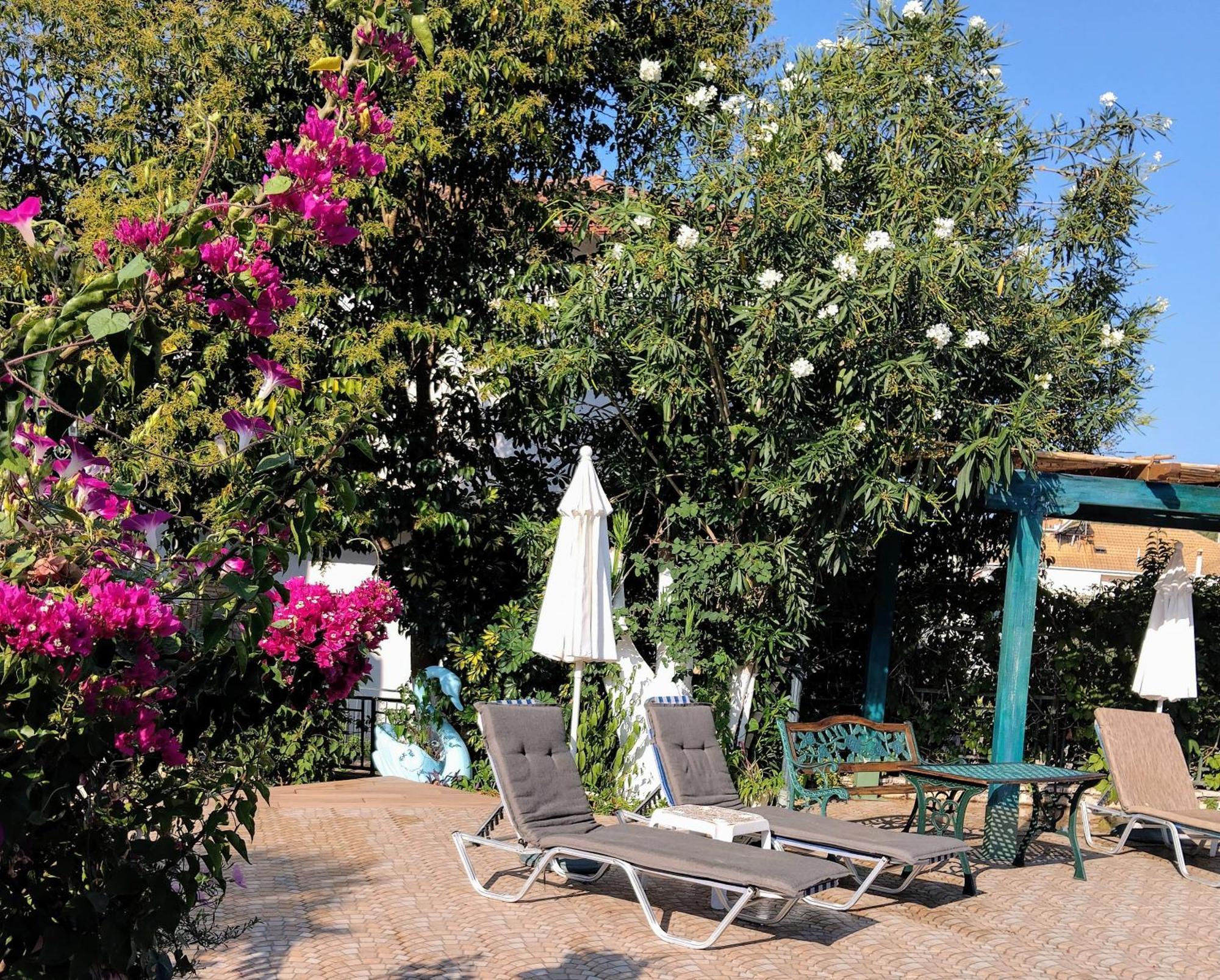 Harmony Resort Parga Exterior foto